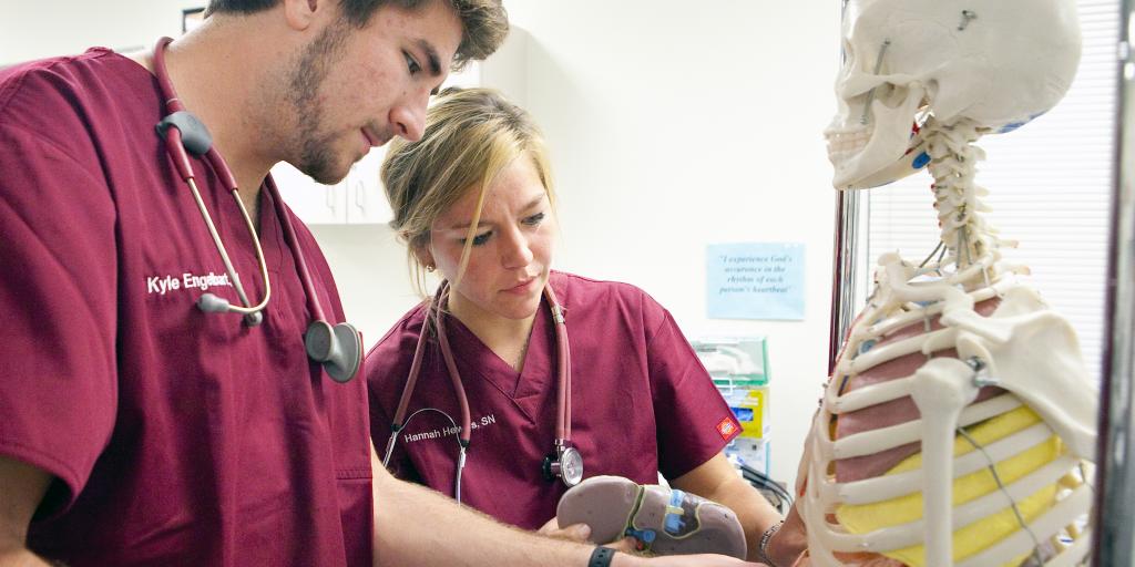 BS in Nursing (BSN)
